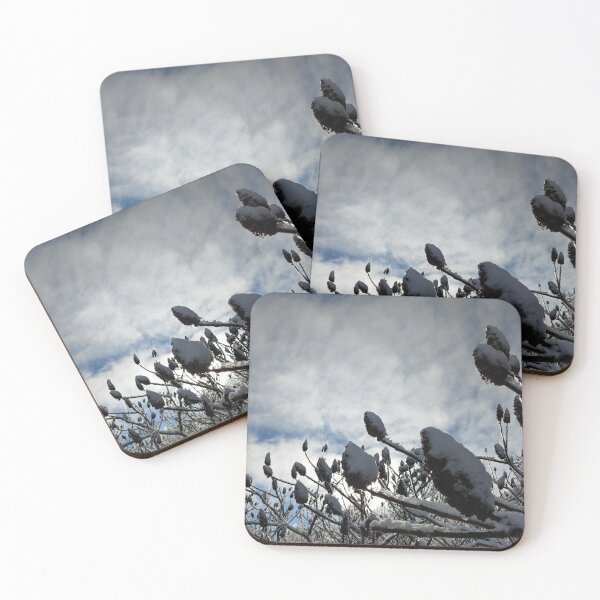 Item preview, Staghorn Sumac in Winter, Part 1 designed and sold by TheNatureNerd.