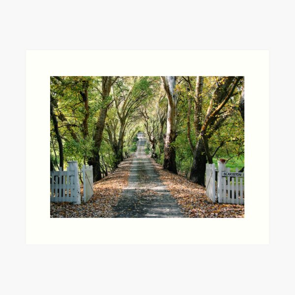 Item preview, Blakiston - Adelaide Hills designed and sold by LeeoPhotography.