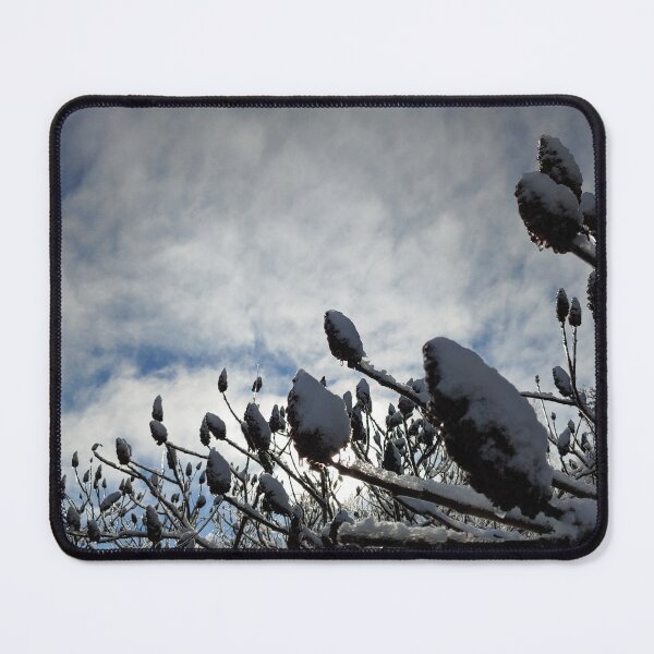 Item preview, Staghorn Sumac in Winter, Part 1 designed and sold by TheNatureNerd.
