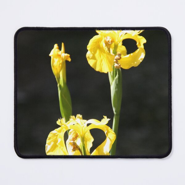 Item preview, Spring - Iris Yellow designed and sold by agnessa38.