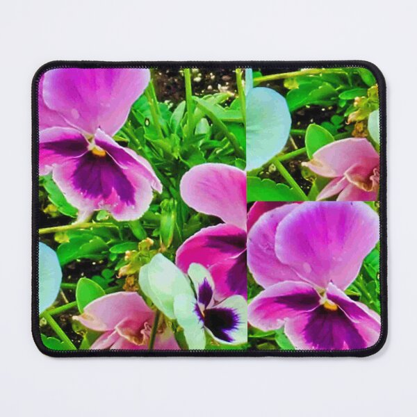 Item preview, Pansies faces designed and sold by Nicholes Dream Visions.