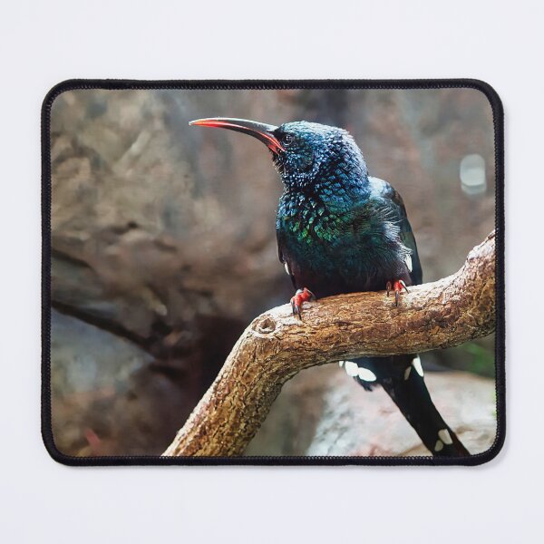 Item preview, He Went That Way designed and sold by John Dauer.