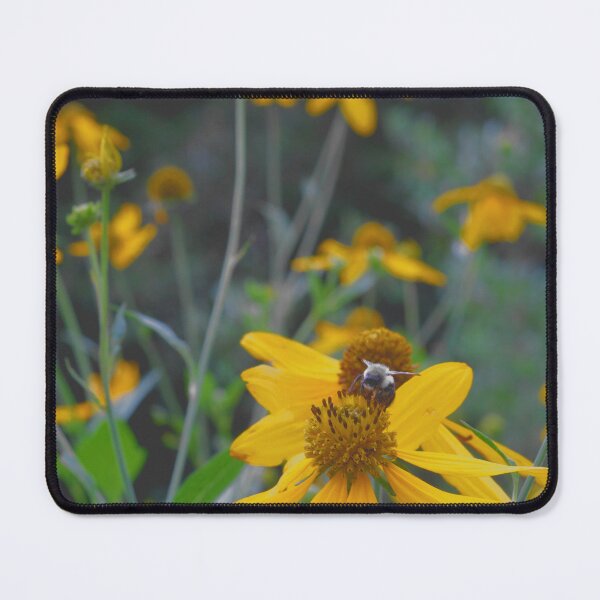 Item preview, Cut Leaf Coneflower designed and sold by Artsy-Creator.