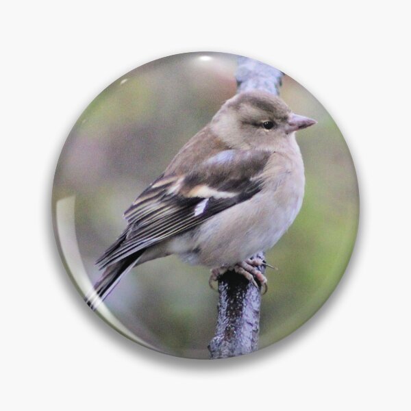 Item preview, chaffinch designed and sold by KathleenDawson.