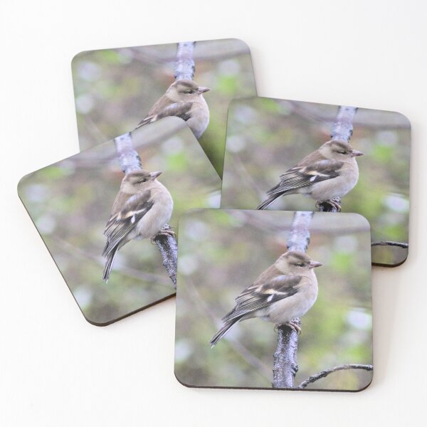Item preview, chaffinch designed and sold by KathleenDawson.