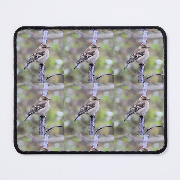 Item preview, chaffinch designed and sold by KathleenDawson.