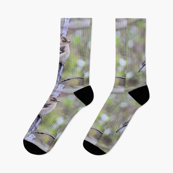 Item preview, chaffinch designed and sold by KathleenDawson.