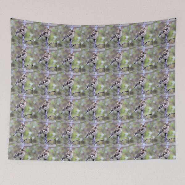 Item preview, chaffinch designed and sold by KathleenDawson.
