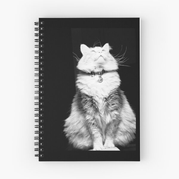 Item preview, Regal Whiskers designed and sold by Betsy Phillips.