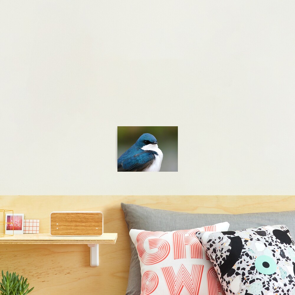 Item preview, Photographic Print designed and sold by RielTeris.