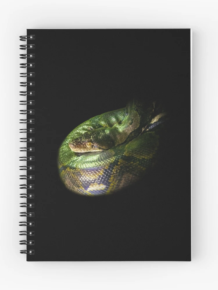 Thumbnail 1 of 3, Journal, Python designed and sold by Guardi71.