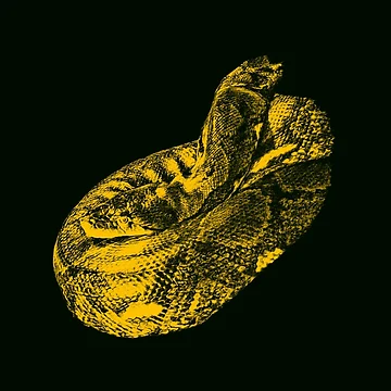 Artwork thumbnail, Python by Guardi71