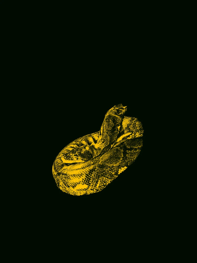 Thumbnail 4 of 4, iPhone Case, Python designed and sold by Guardi71.