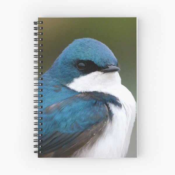 Item preview, Suave Swallow designed and sold by RielTeris.