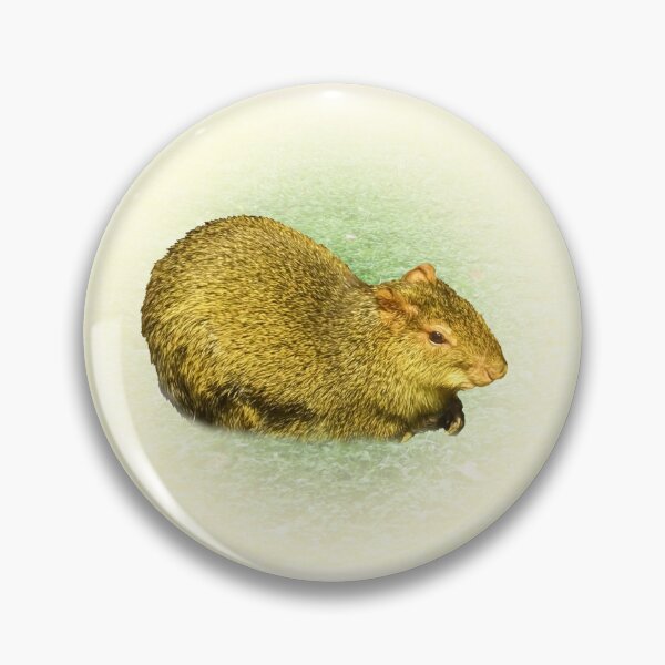 Item preview, Agouti designed and sold by Guardi71.