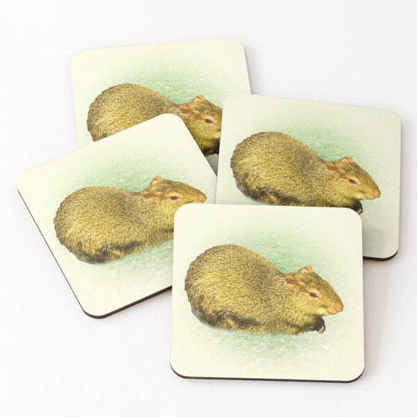 Item preview, Agouti designed and sold by Guardi71.
