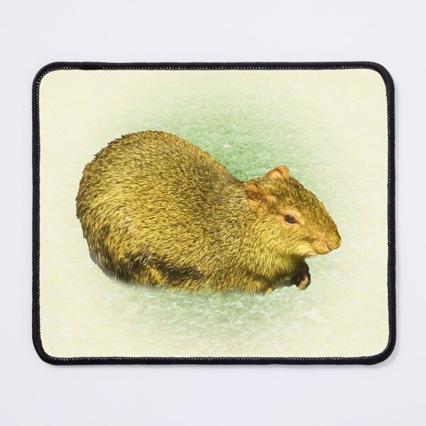 Item preview, Agouti designed and sold by Guardi71.