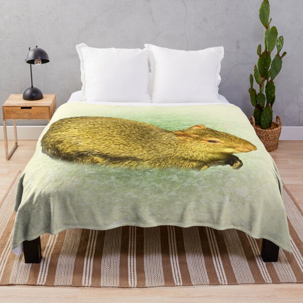 Item preview, Agouti designed and sold by Guardi71.
