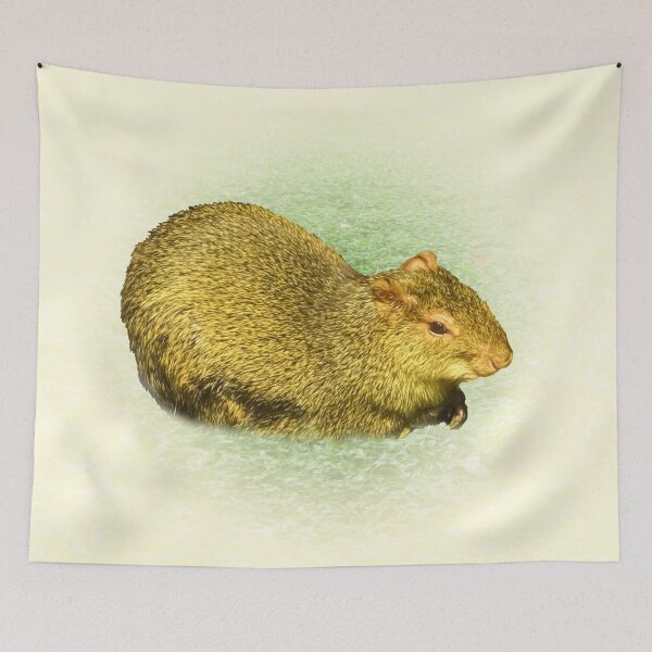 Item preview, Agouti designed and sold by Guardi71.