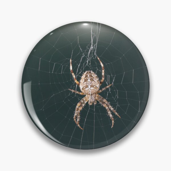Item preview, Cross Spider designed and sold by Calidris Fotografie Steffi & Ben Köppler.