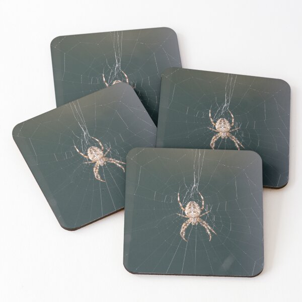 Item preview, Cross Spider designed and sold by Calidris Fotografie Steffi & Ben Köppler.