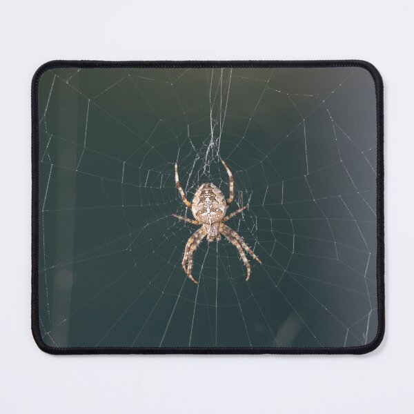 Item preview, Cross Spider designed and sold by Calidris Fotografie Steffi & Ben Köppler.
