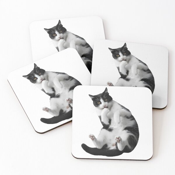 Item preview, Playful Black and White Cat in a Fun Pose designed and sold by Cherry-Cat.