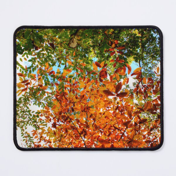 Item preview, Colourful Leaves designed and sold by Vicki Spindler (VHS Photography).