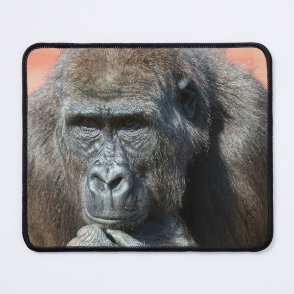 Item preview, Gorilla's Time to Relax designed and sold by rawshutterbug.