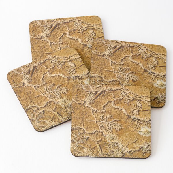 Item preview, Calcified Grasses designed and sold by LizGalpinPhotos.