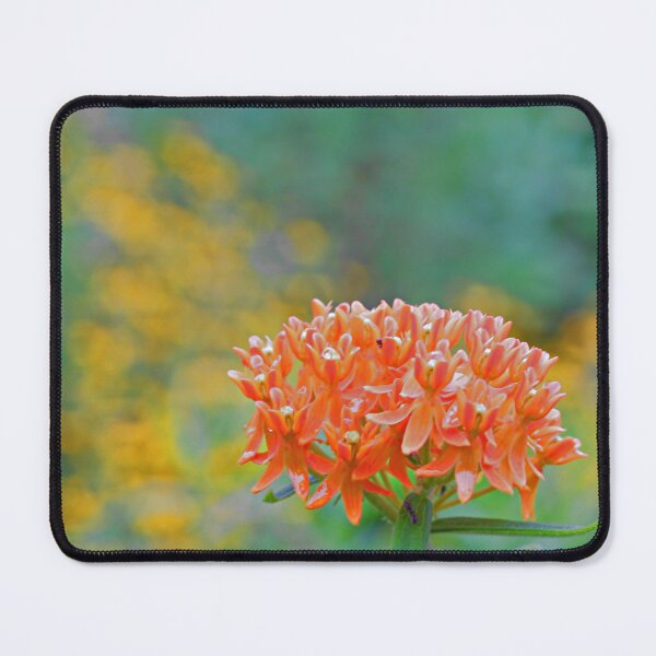 Item preview, Butterfly Weed designed and sold by Artsy-Creator.