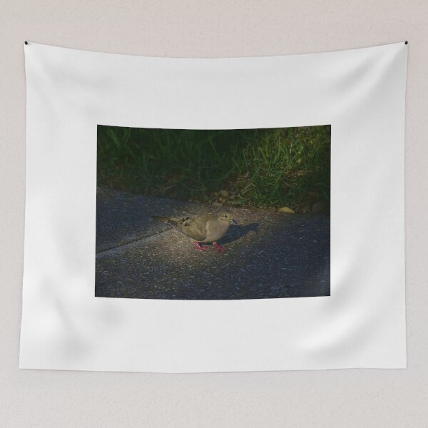 Item preview, Mourning Dove designed and sold by MercerImages.