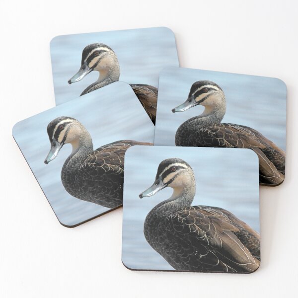 Item preview, © Pacific black duck designed and sold by GeoPipics.