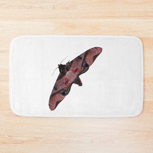 Item preview, Mango hawkmoth: Amplypterus panopus  designed and sold by Entomologist.