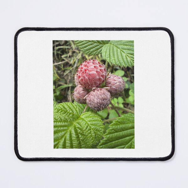 Item preview, Wild strawberries designed and sold by fernandoramosfe.