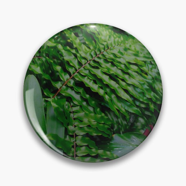 Item preview, The Botanical Garden Volume I designed and sold by shotbykirst.