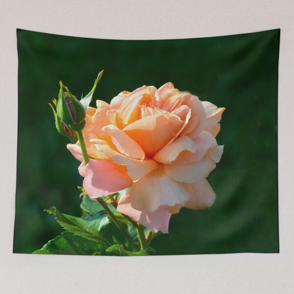 Item preview, Peach Florabunda Rose #8 designed and sold by ginawaltersdorf.