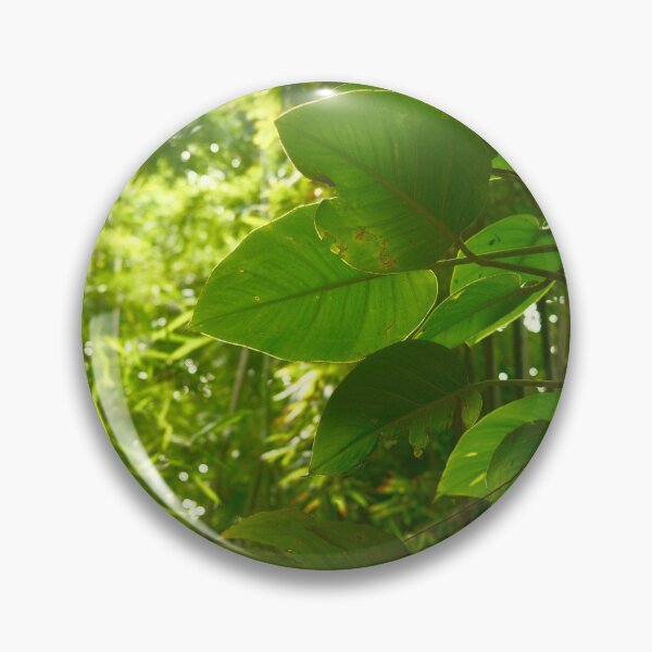 Item preview, Pothos in the wild designed and sold by shotbykirst.