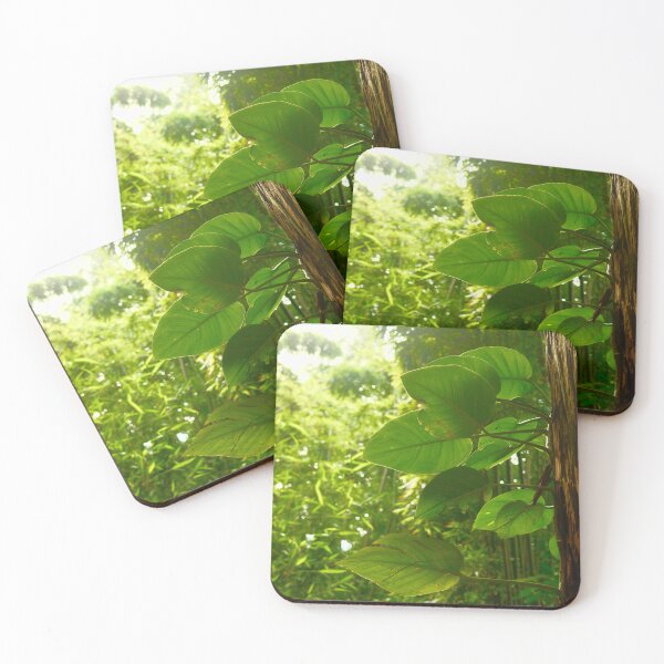 Item preview, Pothos in the wild designed and sold by shotbykirst.