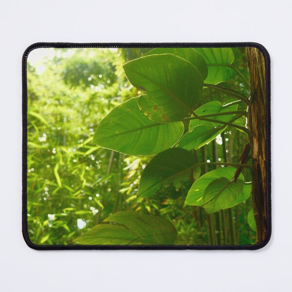 Item preview, Pothos in the wild designed and sold by shotbykirst.