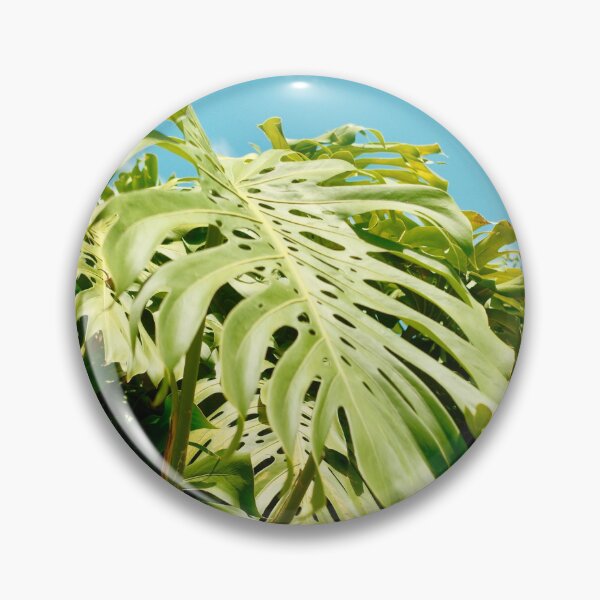 Item preview, Monstera in the wild Volume I designed and sold by shotbykirst.