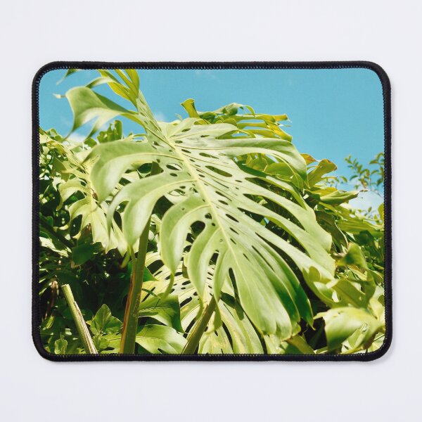 Item preview, Monstera in the wild Volume I designed and sold by shotbykirst.