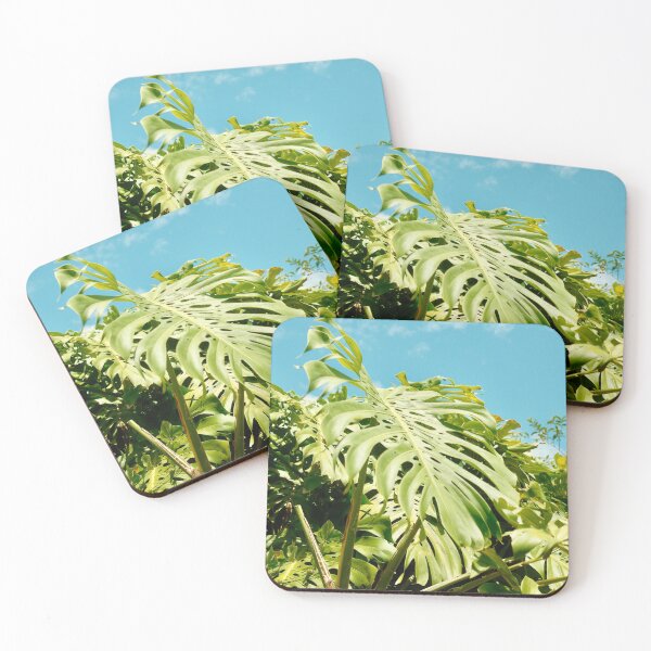 Item preview, Monstera in the wild Volume I designed and sold by shotbykirst.