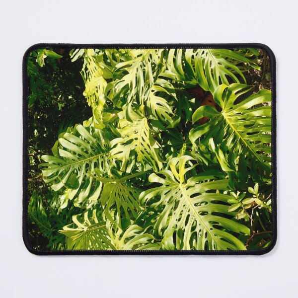Item preview, Monstera in the Wild Volume II designed and sold by shotbykirst.