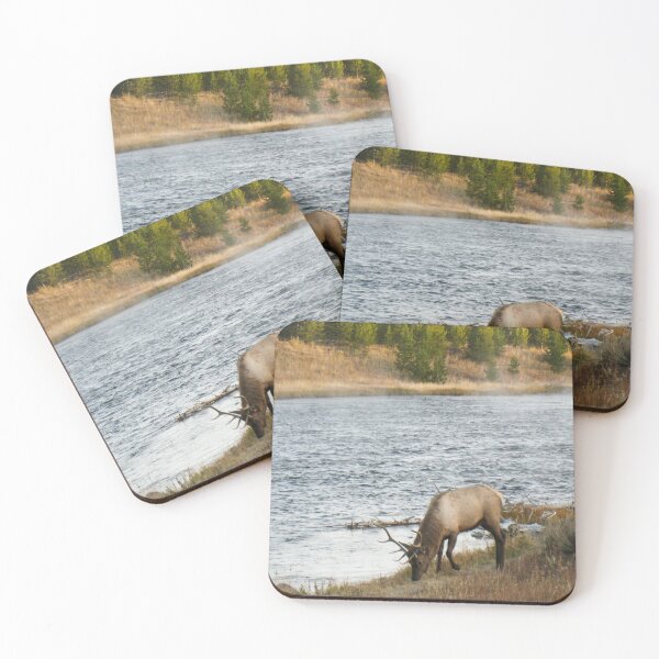 Item preview, A Morning Stroll designed and sold by LizGalpinPhotos.