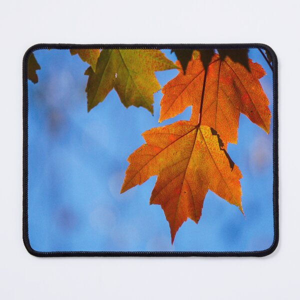 Item preview, Fall Mornings designed and sold by TheeForestFox Shop.