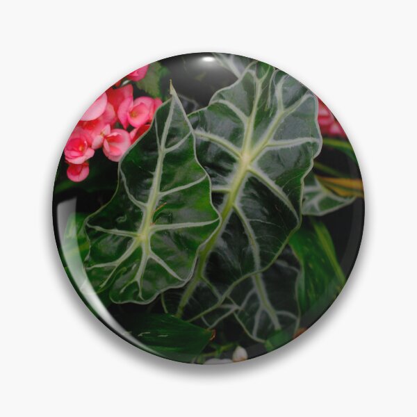 Item preview, The Botanical Garden Volume II designed and sold by shotbykirst.