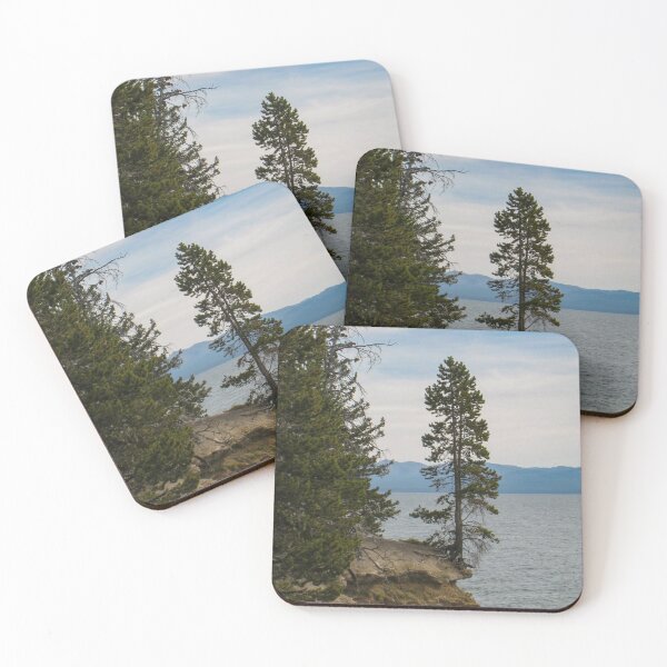Item preview, Hanging On designed and sold by LizGalpinPhotos.