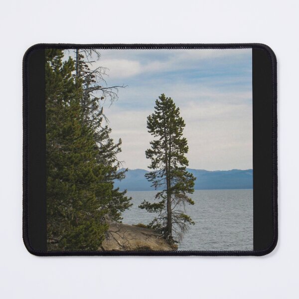 Item preview, Hanging On designed and sold by LizGalpinPhotos.
