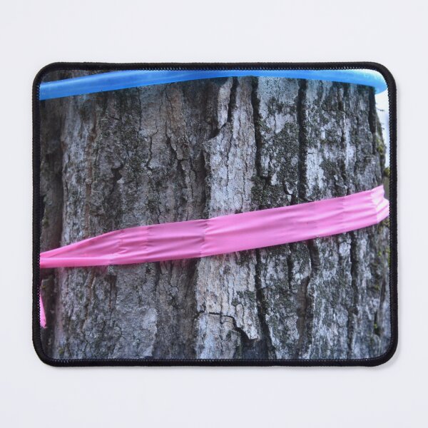 Item preview, A maple tree in the forest in autumn designed and sold by Claude Laprise.